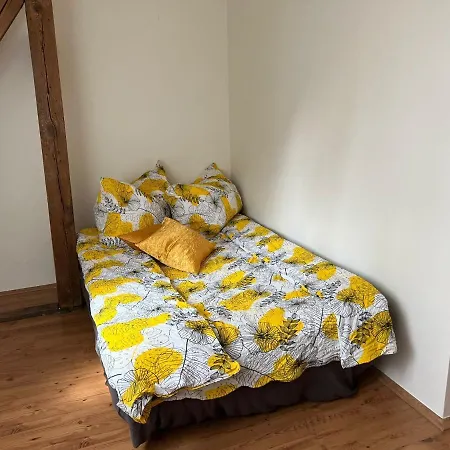 Maisonette Karlovy Vary